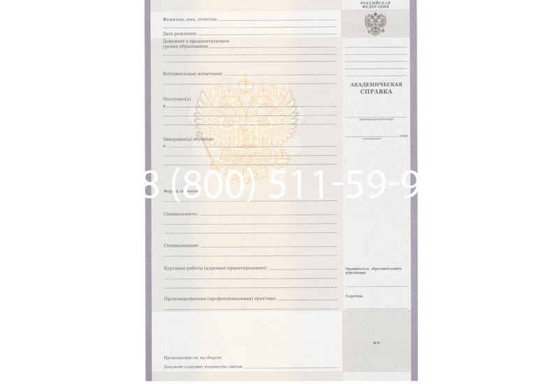 Купить Академическая справка образца 2010-2011 год для колледжа в Кызыле