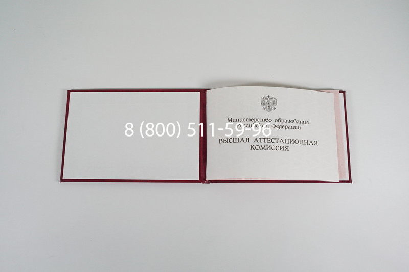 Диплом доктора наук 1995-2006 года в Кызыле Диплом доктора наук 1995-2006 года в Кызыле