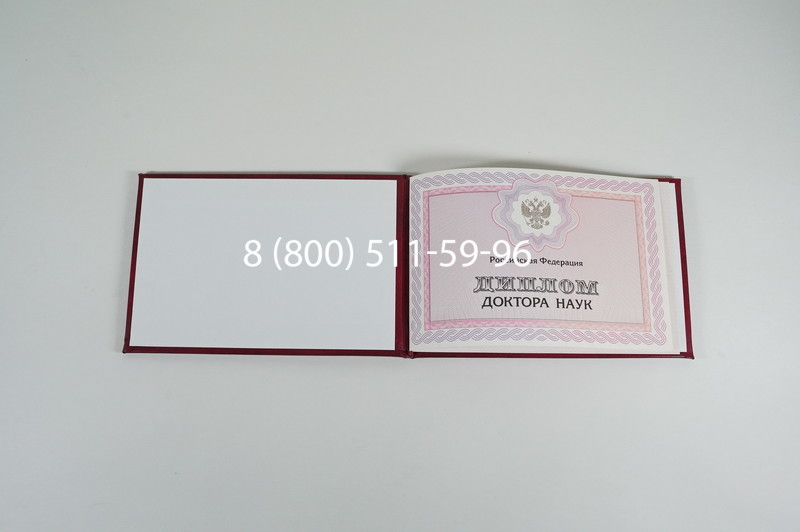 Заказать Диплом доктора наук 2007 в Кызыле