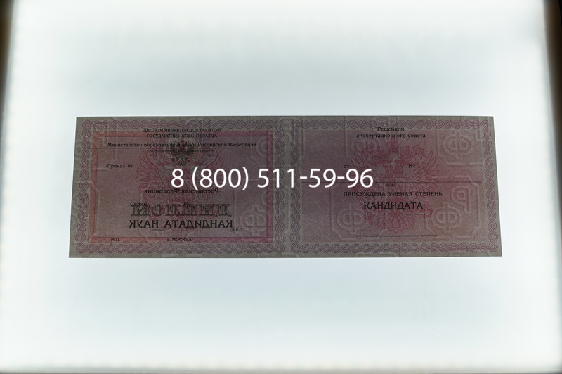 Заказать Диплом кандидата наук 2010 в Кызыле