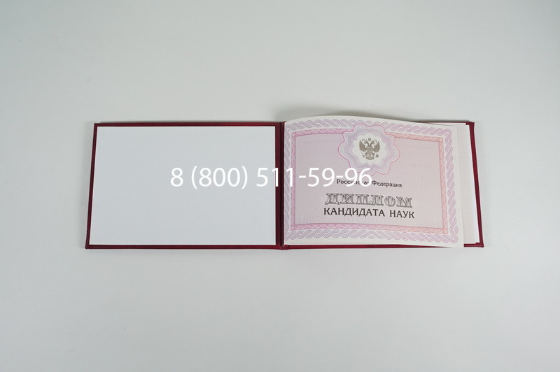 Заказать Диплом кандидата наук 2010 в Кызыле