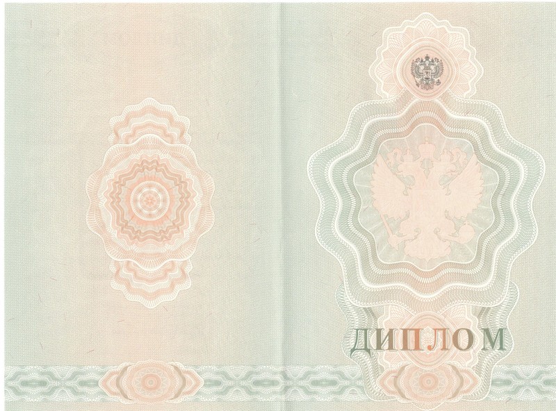 Купить Диплом о начальном образовании  2007-2009 годов в Кызыле