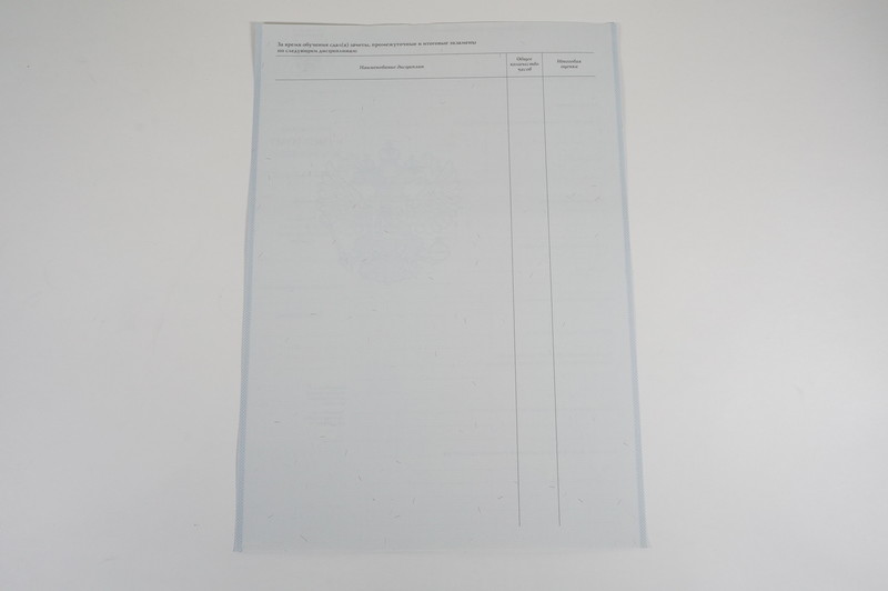 Диплом о начальном образовании  2007-2009 годов в Кызыле
