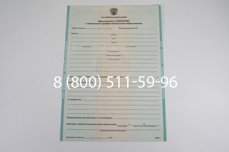 Диплом ПТУ 2014-2024 года в Кызыле Диплом ПТУ 2014-2024 года в Кызыле