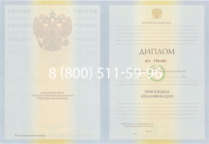 Купить Диплом специалиста 2010-2011 годов в Кызыле