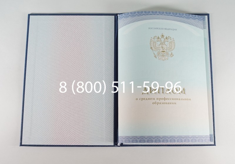 Заказать Диплом техникума (Спецбланк) 2014-2024 года в Кызыле Заказать Диплом техникума (Спецбланк) 2014-2024 года в Кызыле